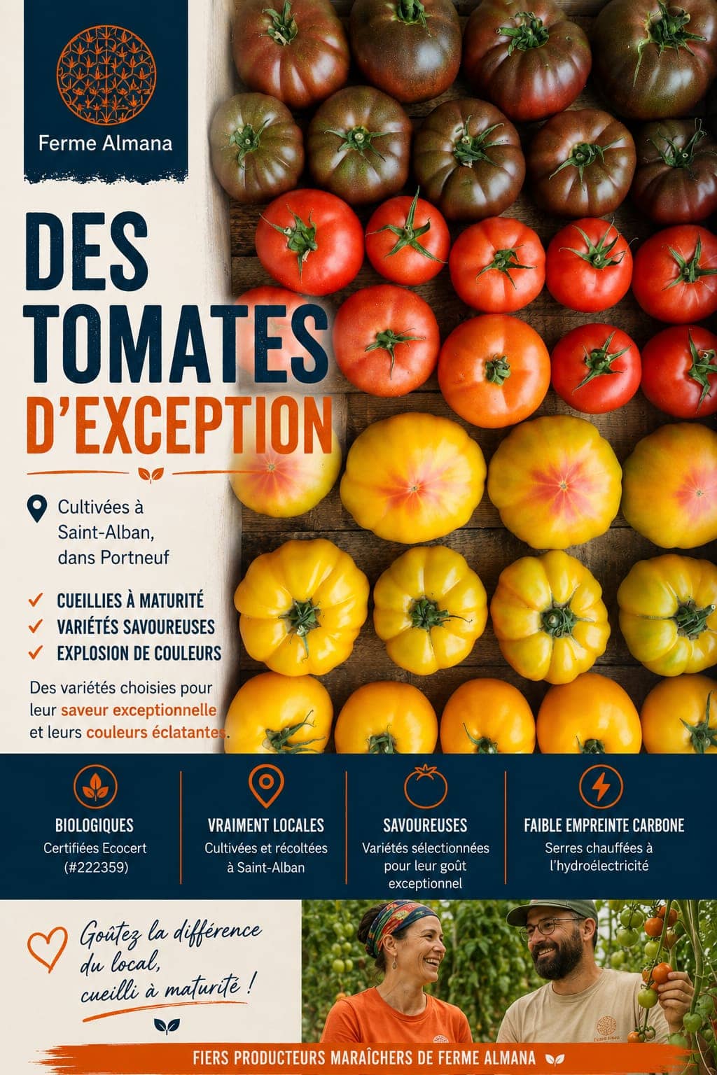 Tomates de spécialité bio cultivées à la Ferme Almana