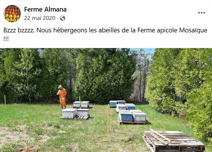 Publication Facebook de mai 2020 : les ruches de la Ferme apicole Mosaïque s'installent