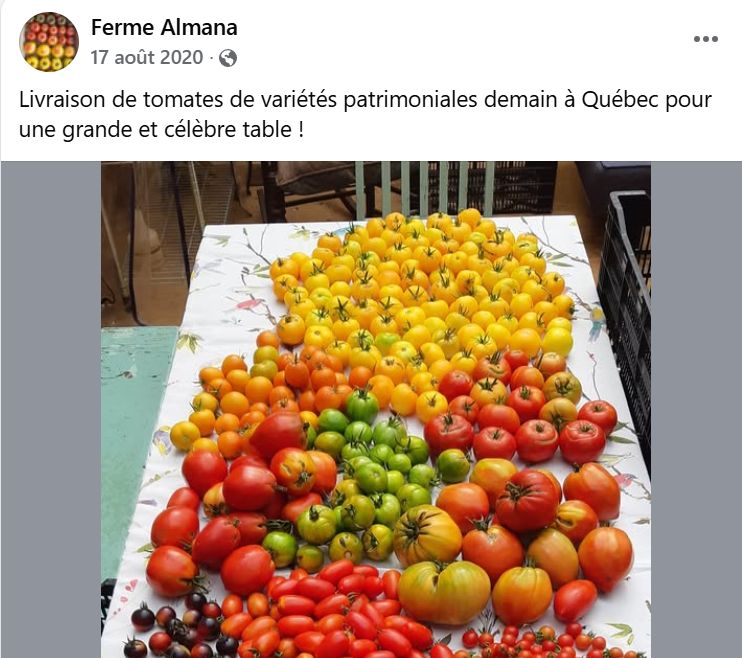 Publication Facebook d'août 2020 : livraison de tomates de spécialité bio à Québec