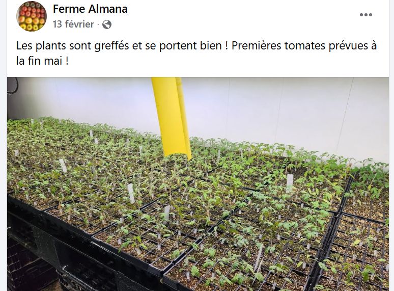 Publication Facebook de février : les plants greffés se portent bien