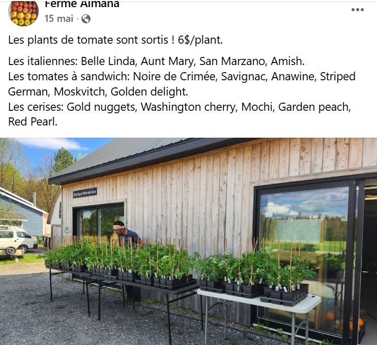 Publication Facebook de mai : vente de plants de tomates devant la boutique