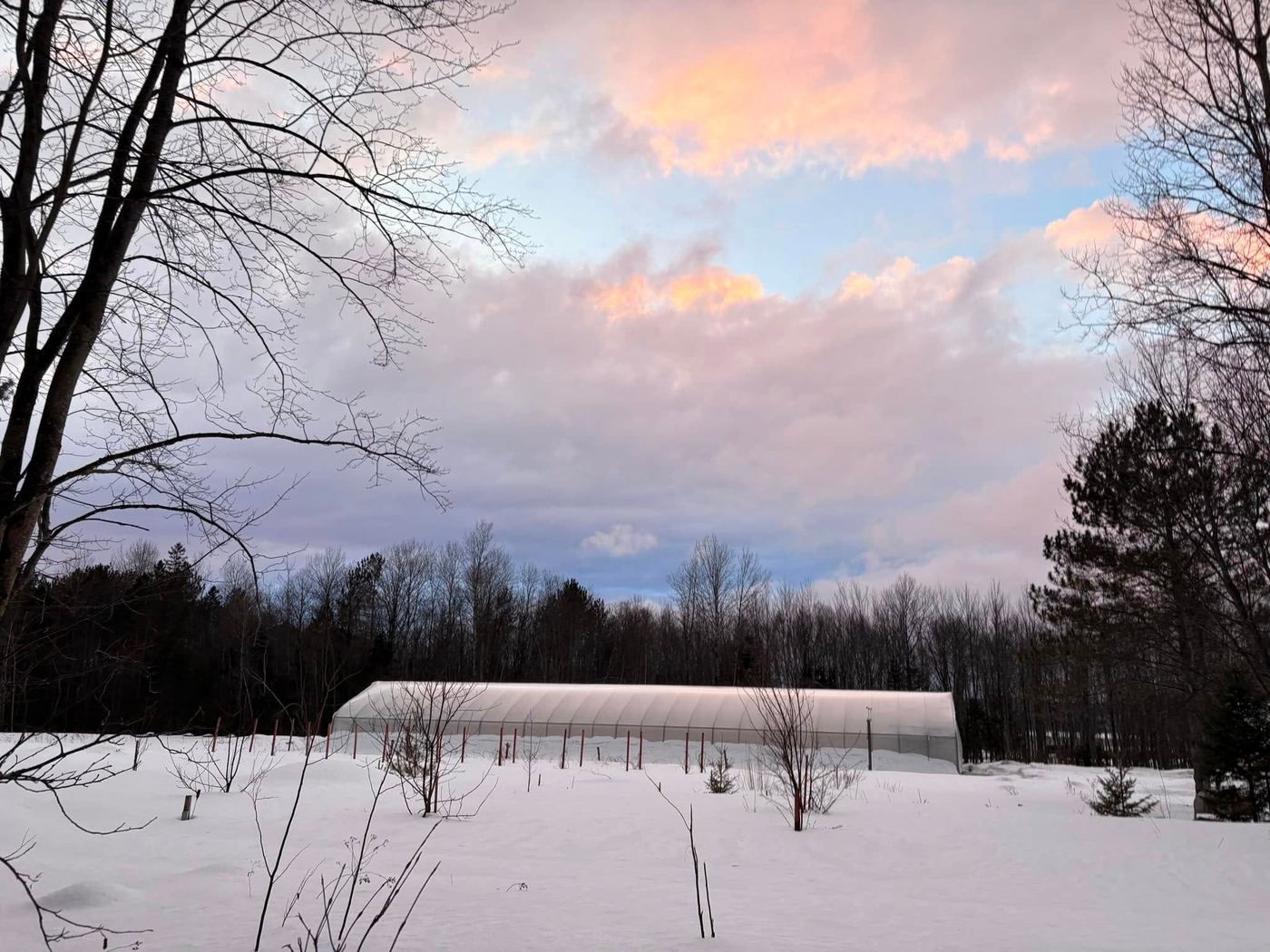 La serre sous la neige au crépuscule