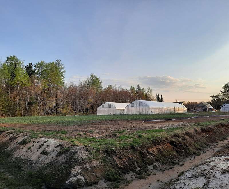 Vue d'ensemble de la ferme avec ses serres au crépuscule